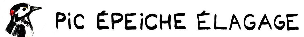 Pic Epeiche Elagage
